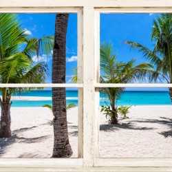 Tropical Island Rustic Window View