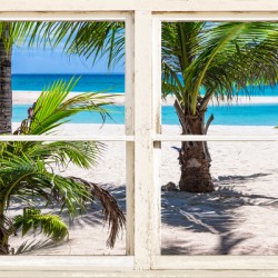 Tropical Paradise Rustic White Window View