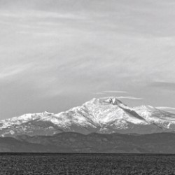 Twin Peaks Between The Trees BW Panorama
