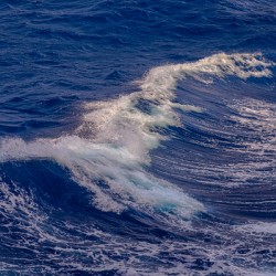 Waves Gracefully Cresting