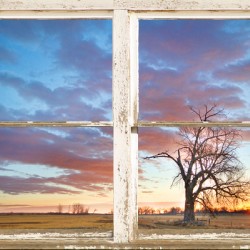 Beautiful Morning White Window Frame Art