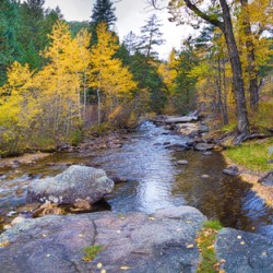 Colorado Autumn Creek Happy Place Panoramic