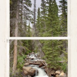 Rocky Mountain Stream White Rustic Window
