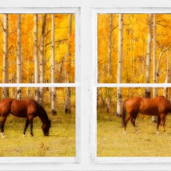 2 Horses Aspen Trees Whitewash Picture Window