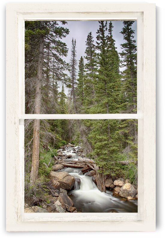 Colorado Rocky Mountain Stream White Rustic Window View by Bo Insogna