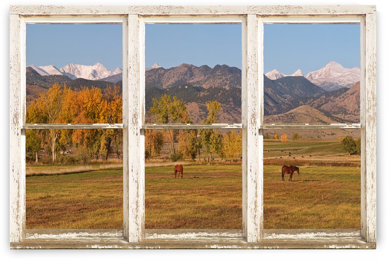 Horses Autumn White Barn Picture Window View by Bo Insogna