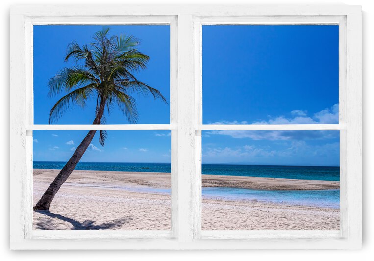 Tropical Paradise Whitewash Window View by Bo Insogna