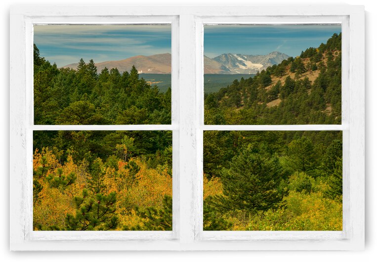 Rocky Mountain Whitewash Picture Window View by Bo Insogna
