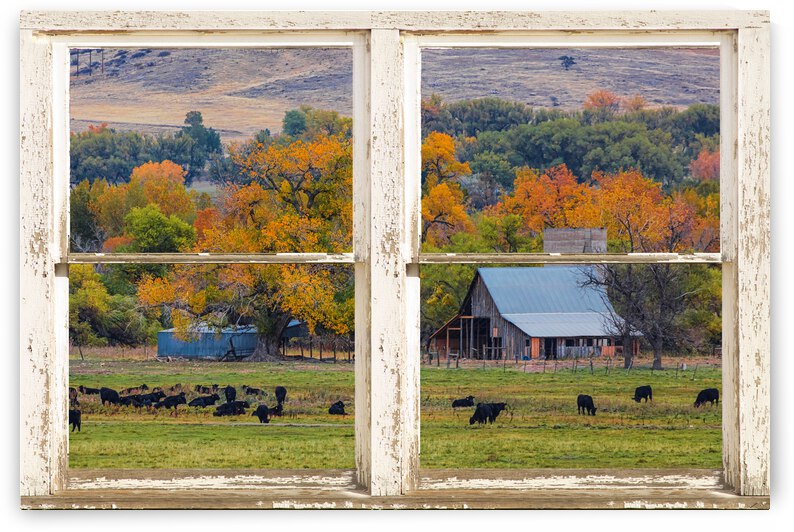 Pretty Colorful Country Rustic Window Frame by Bo Insogna