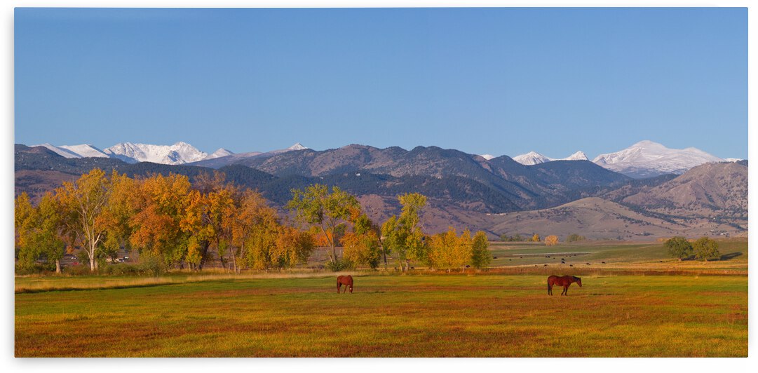 North Boulder County Front Range Panorama by Bo Insogna