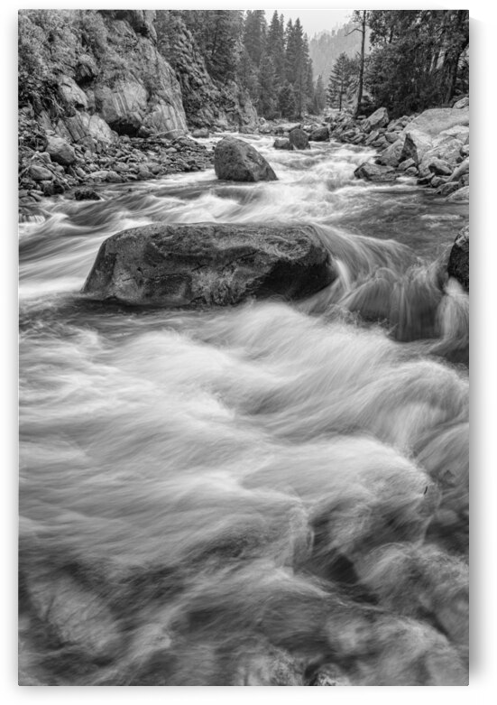 Rocky Mountain Streaming in Black and White by Bo Insogna