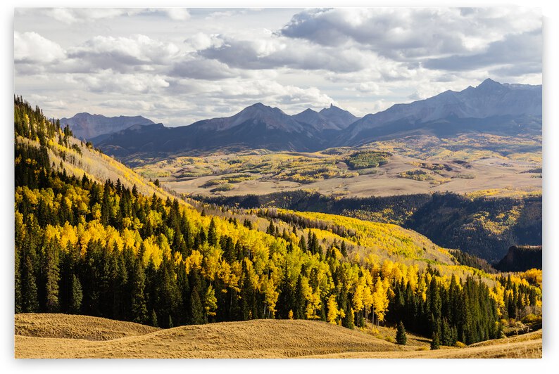 Autumn Season View Sneffles Ten Peak by Bo Insogna