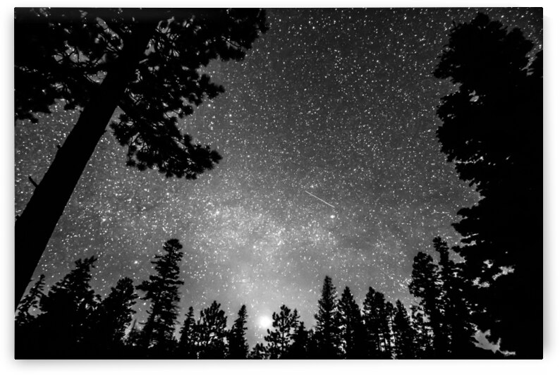 Dark Stellar Universe Deep Into The Night by Bo Insogna