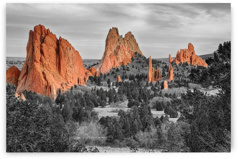 Garden of the Gods with Selective Color by Bo Insogna