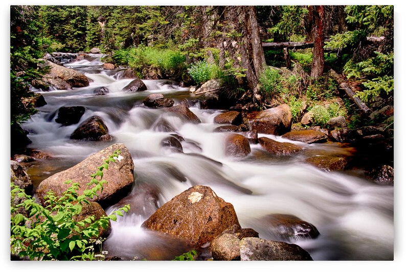Cascading Rocky Mountain Forest Creek by Bo Insogna