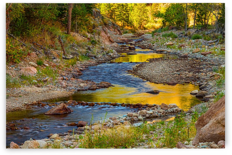 Golden Fishing Stream by Bo Insogna