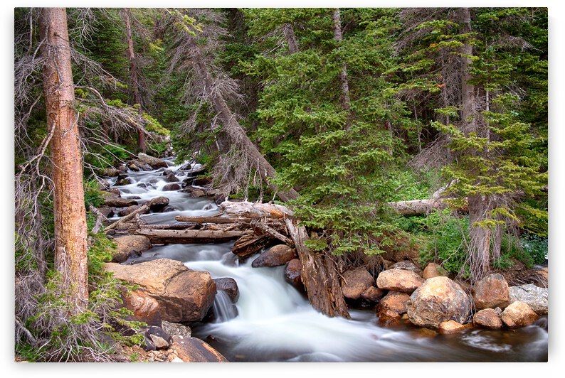 Rocky Mountains Stream Scenic Landscape by Bo Insogna