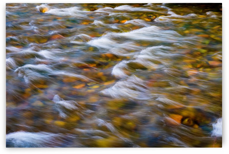 South Boulder Creek In Living Color by Bo Insogna