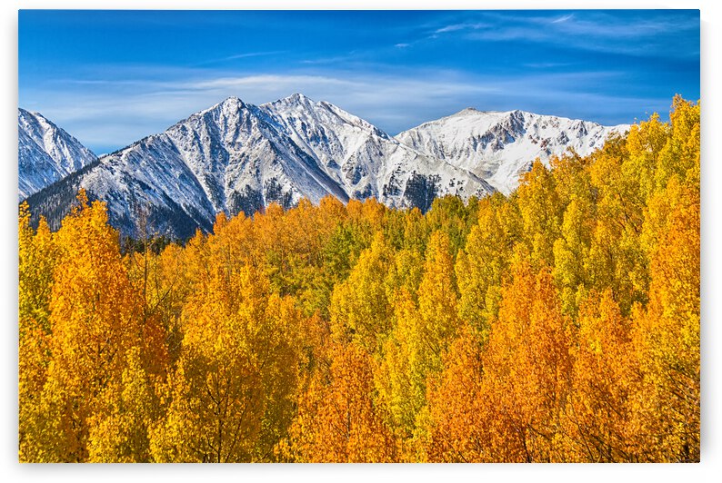 Colorado Rocky Mountain Autumn Beauty by Bo Insogna
