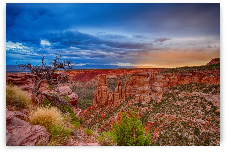 Colorado National Monument Evening Storms by Bo Insogna