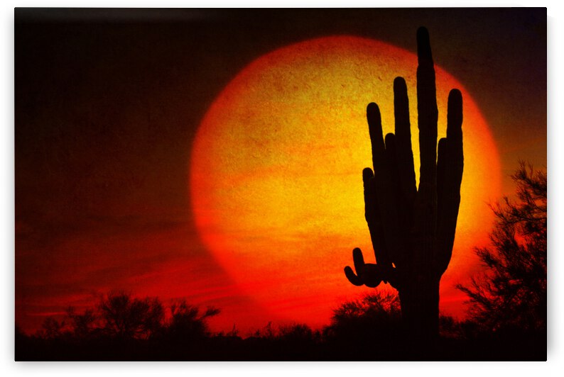 Big Southwest Sunset by Bo Insogna