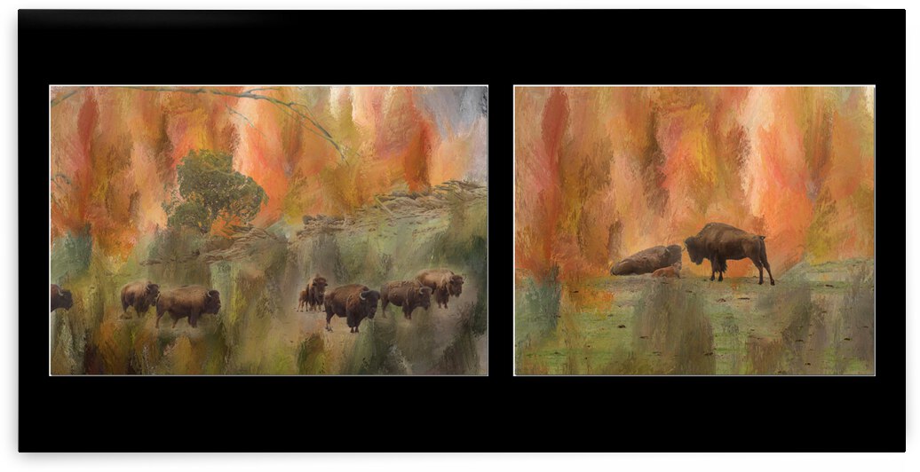 Bison Herd Diptych by Bo Insogna
