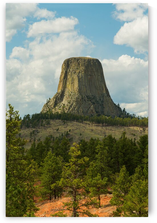Majestic Devils Tower in Wyoming Surrounded by Pine Forest by Bo Insogna