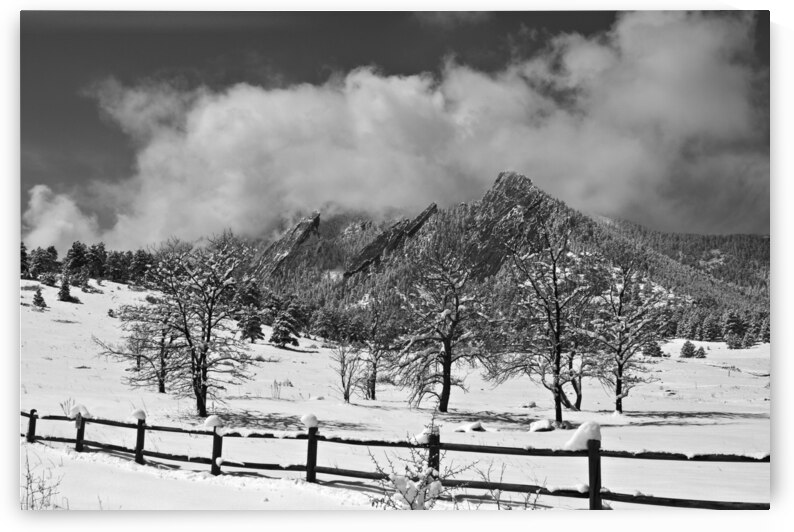 Boulder Colorado Snowy Flatirons Landscape Black and White by Bo Insogna