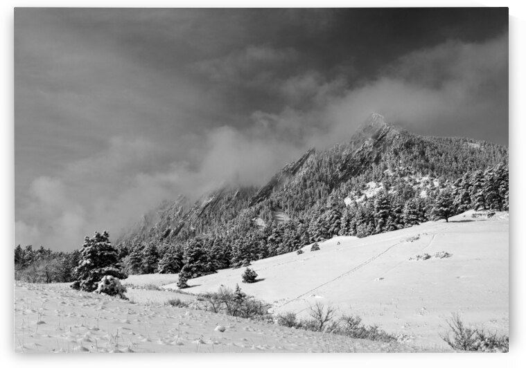Boulder Colorado Flatirons April Snow In Black and White by Bo Insogna
