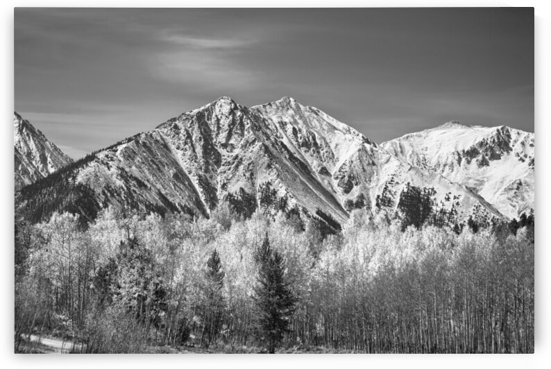 Rocky Mountain Autumn High In Black and White by Bo Insogna