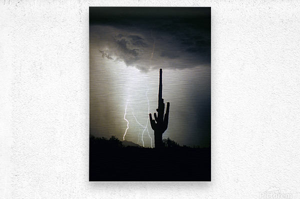 Lightning Swirl Saguaro Cactus Highlands  Impression metal