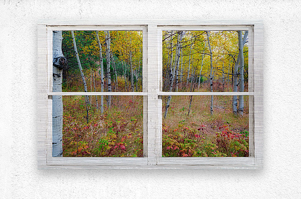 Autumn Forest Delight Rustic Window View  Metal print