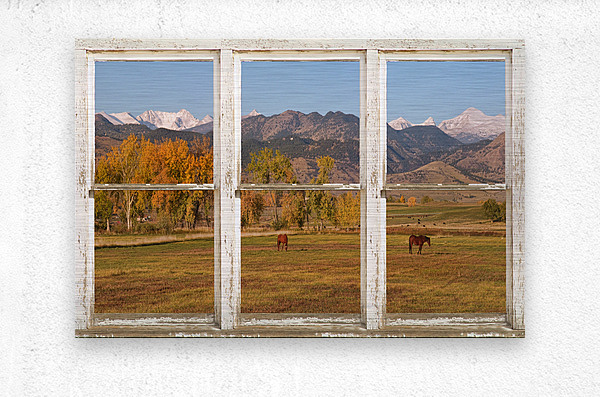 Horses Autumn White Barn Picture Window View  Impression metal