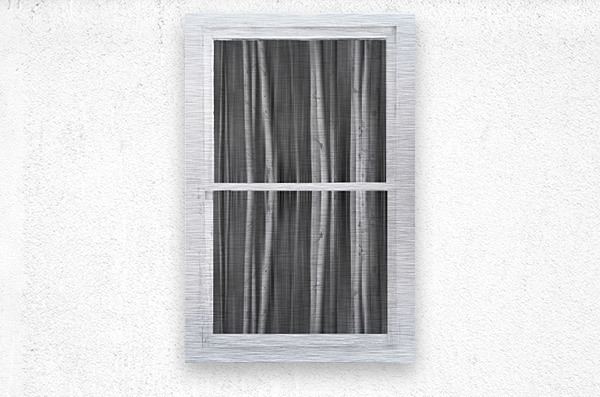 Surreal Dreamy Aspen Forest White Rustic Window  Metal print