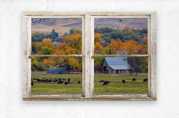 Pretty Colorful Country Rustic Window Frame  Metal print
