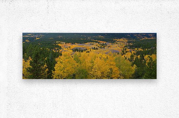 Colorado Autumn Panorama colorful  Metal print