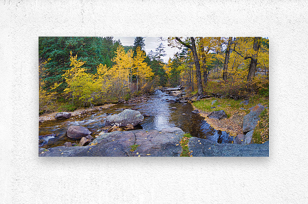 Colorado Autumn Creek Happy Place Panoramic  Metal print