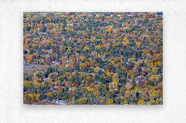 Colorful Trees Boulder Colorado  Metal print