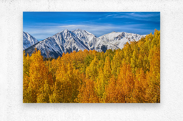 Colorado Rocky Mountain Autumn Beauty  Metal print