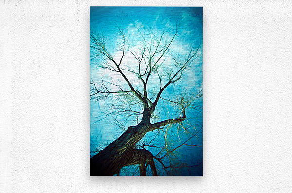winter tree blue  Metal print