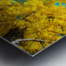 Maple Up Metal print