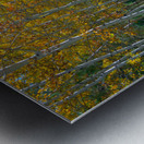 Golden Aspens & Green Dreams Natures Autumn Meadow Metal print