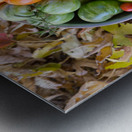 Colorful Heirloom Tomato Harvest in Autumn Leaves Metal print