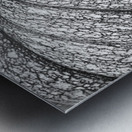 Pumpkin Pumpkin Black and White Metal print