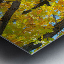 Some Un be leaf able Fall Vibes Metal print