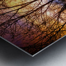 Sunset Tree Silhouette Abstract 1 Metal print