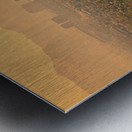 Phoenix Valley Of The Sun Metal print