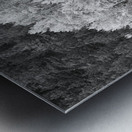 Autumn Grazing Horses Bonanza Metal print