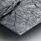 Black and White Snowy Tree Branches Abstract 2 Metal print