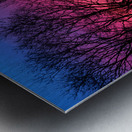 Morning Glow Tree Abstract Metal print